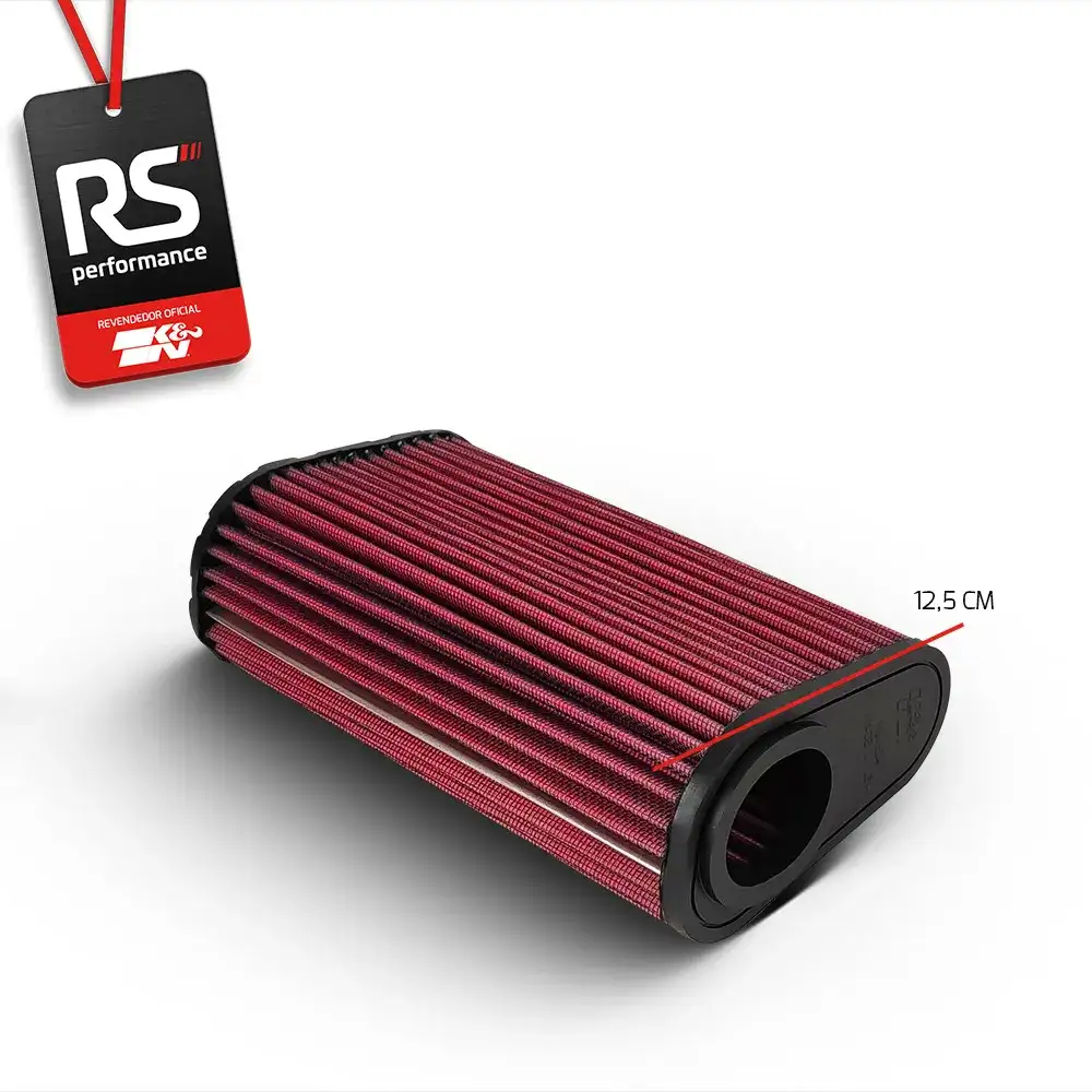 Filtro De Ar Esportivo K&n Cbf600 / Cb600f Hornet / Cbf600s