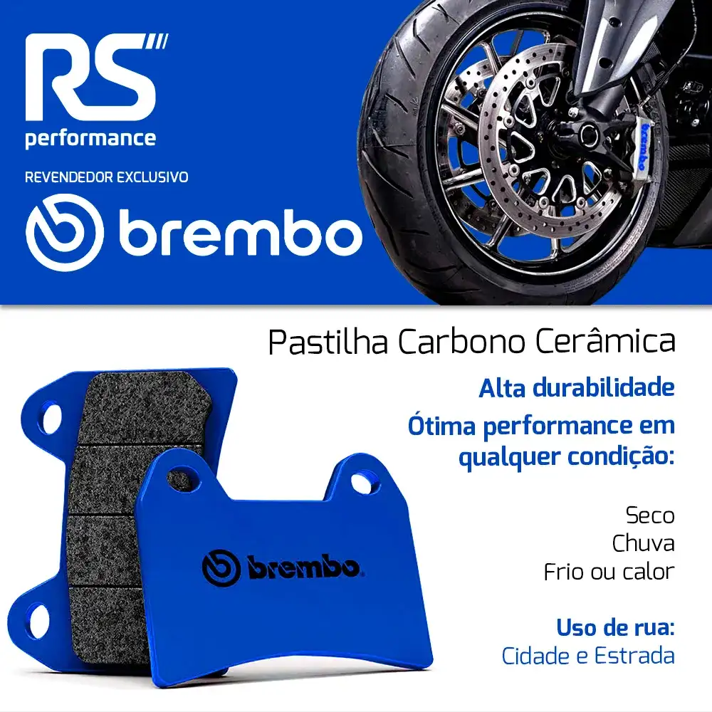 Pastilha Freio Traseiro Kawasaki Z Series 2007 Em Diante